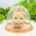 Силиконовая форма для мыла Зайчик держит лапку